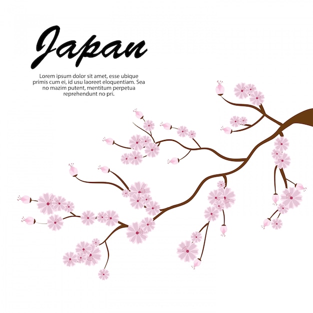 sakura branches tree icon japan