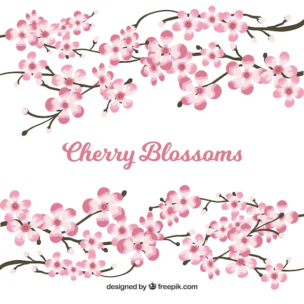 Free Vector sakura flat background