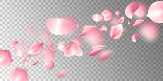 Free vector sakura flying petals on transparent background