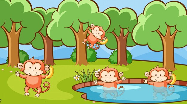 Scene with cute monkeys in forest