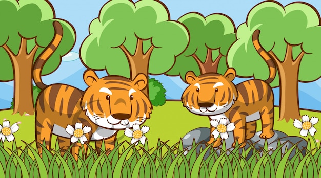 Free vector scene with cute tigers in the forest