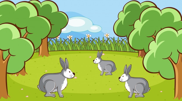 Scene with gray bunnies in forest