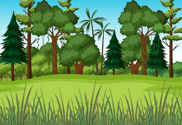 Free Vector scene with green grass in forest