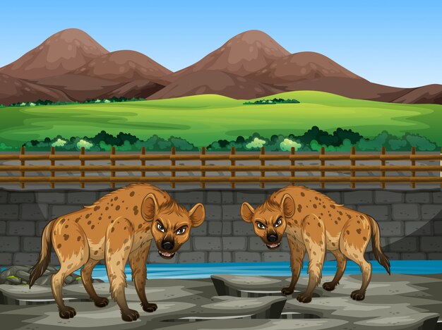 Free Vector scene with hyena in the zoo