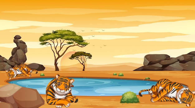 Free Vector scene with many tigers in the field