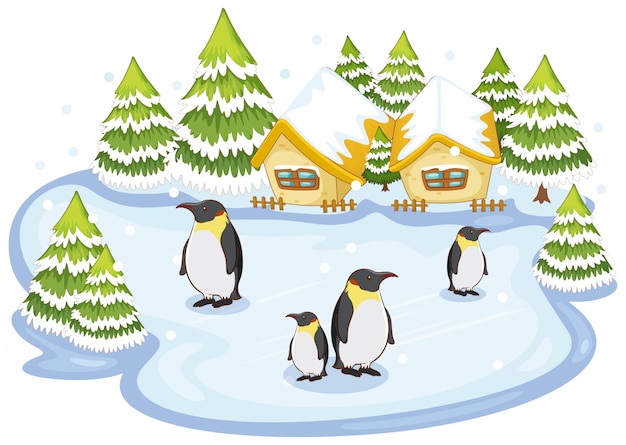 Scene with penguins on snow