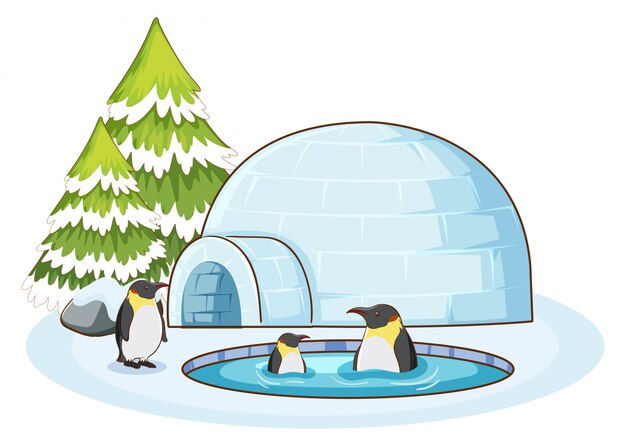 Scene with penguins in the snow