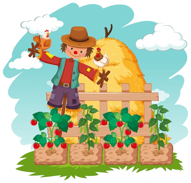 Scene with scarecrow and vegetables on the farm