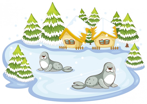 Free Vector scene with seals in winter illustration