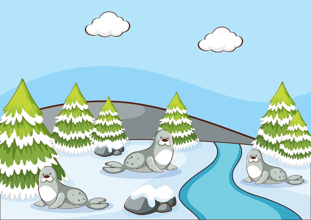 Free Vector scene with  seals in winter time