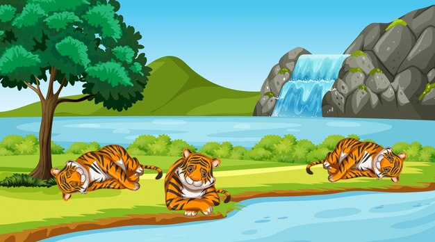 Scene with wild tigers in the park