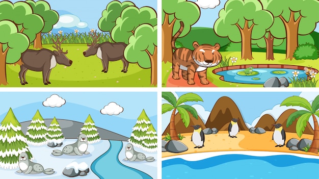 Free vector scenes of animals in the wild