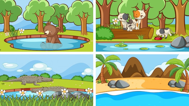 scenes of animals in the wild