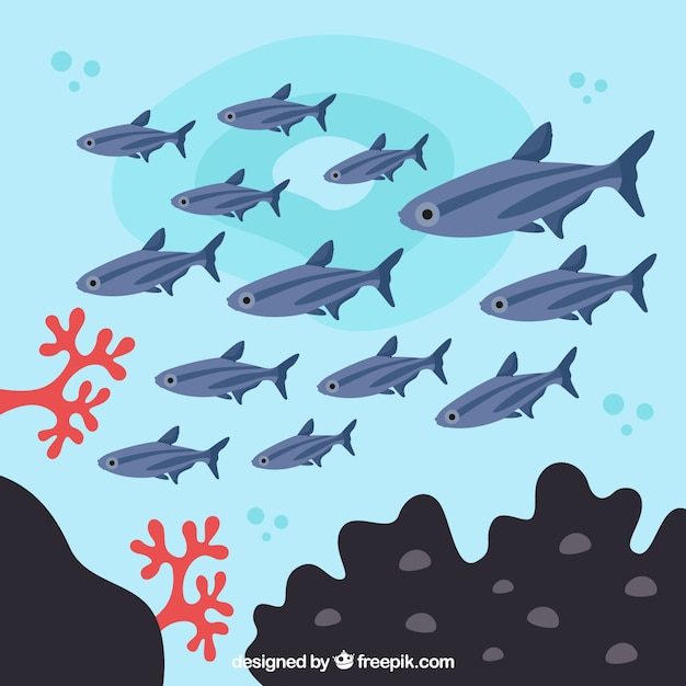 Free Vector school of fishes background with deep sea in flat style