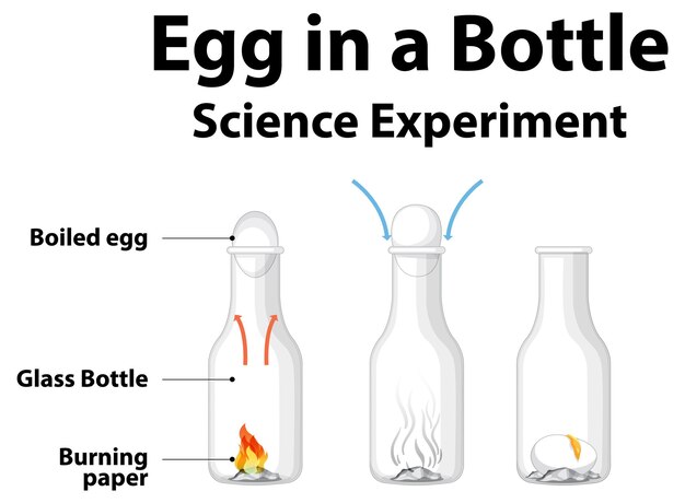 Science experiment to do at home with egg in a bottle