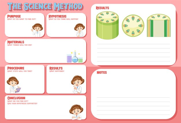 The science method worksheet for children