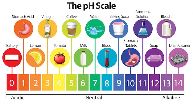 Free Vector the science ph scale