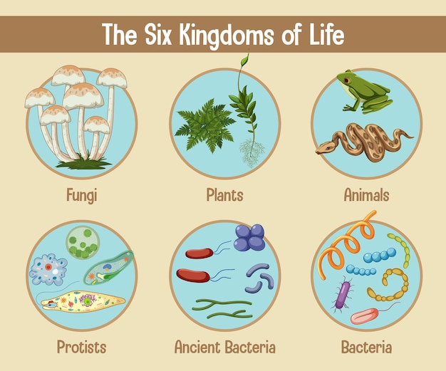 Free vector science poster of six kingdoms of life