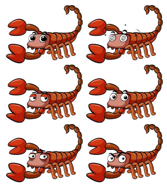 Free Vector scorpion with different facial expressions