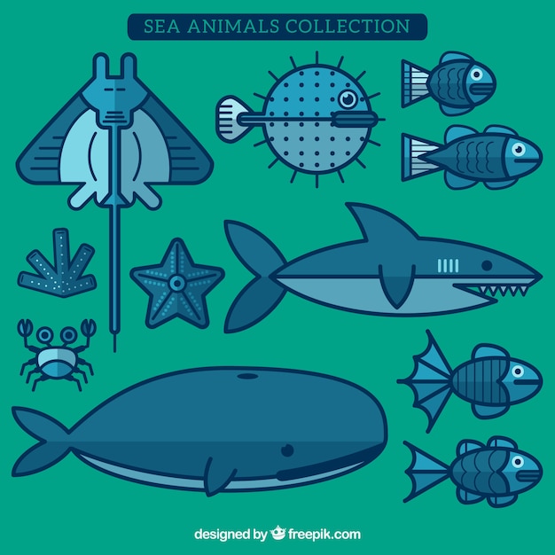 Free Vector sea animals collection in flat design