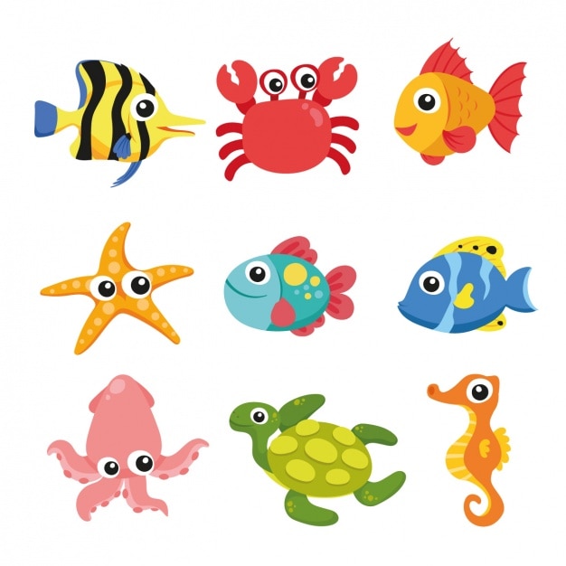 Sea animals collection