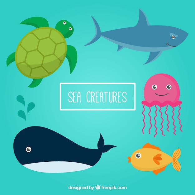 Sea animals pack 