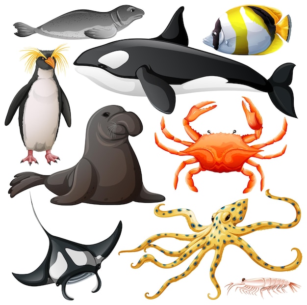 Free Vector sea animals vector collection