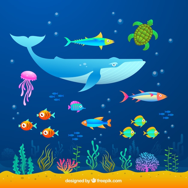 Sea animals