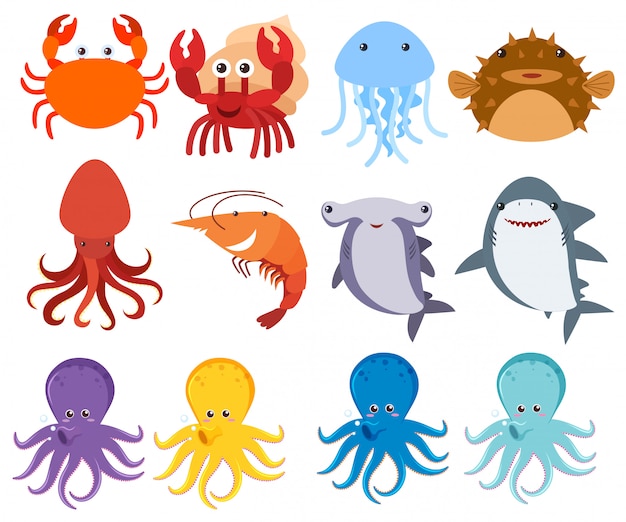 Free Vector sea creatures on white backgriund