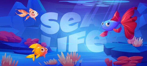 Sea life cartoon banner with cute tropical fishes