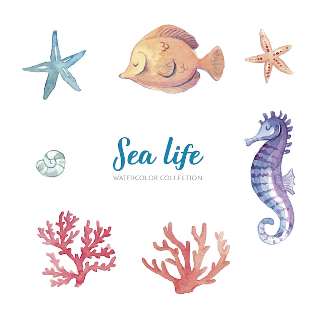 Sea life watercolor collection