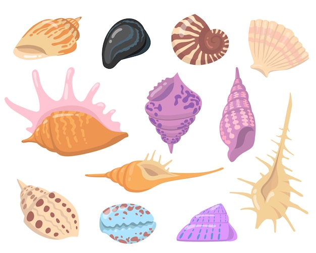 Sea or ocean shell objects flat illustration set. Cartoon colorful seashells isolated vector illustration collection. Water nature and decoration concept