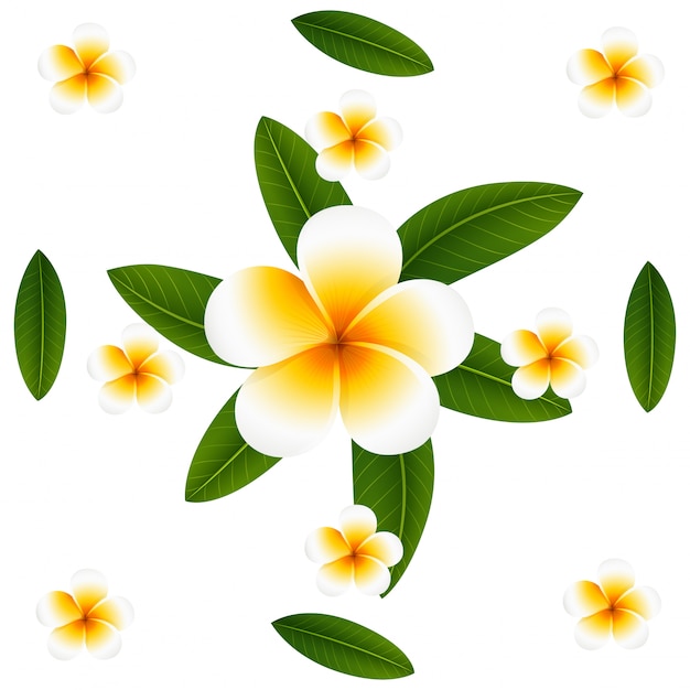 Seamless background design with plumeria and leaves