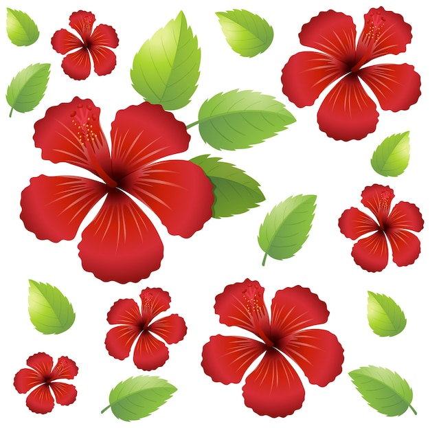 Free Vector seamless background design with red hibiscus flowers