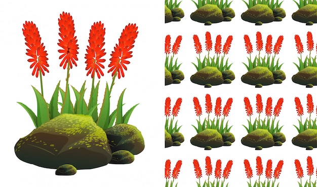 Free vector seamless background  with aloe vera and moss stones