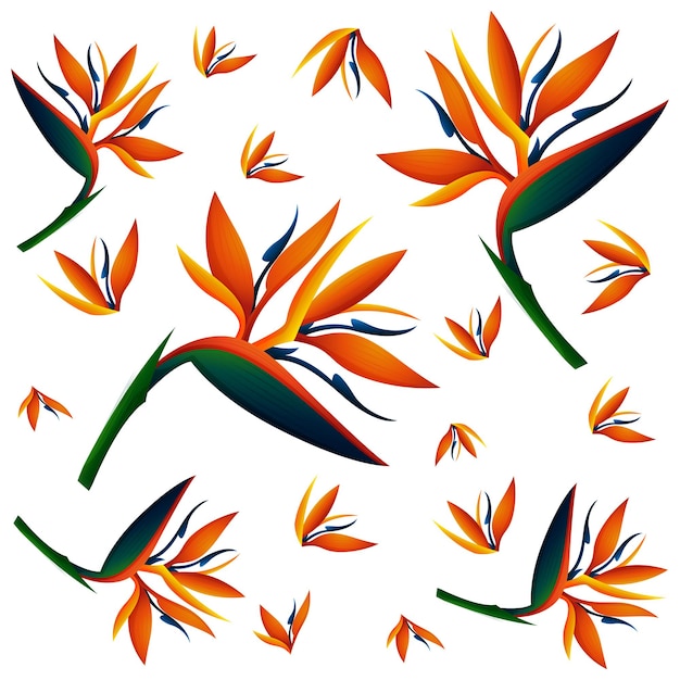 Free Vector seamless background with bird of paradise flowers