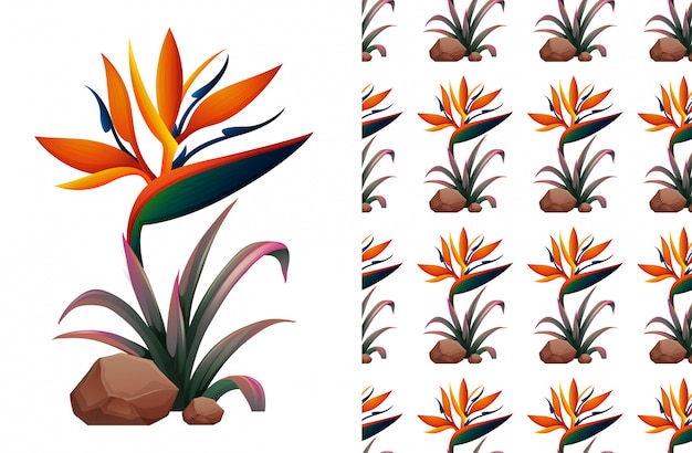 Free Vector seamless bird of paradise flower