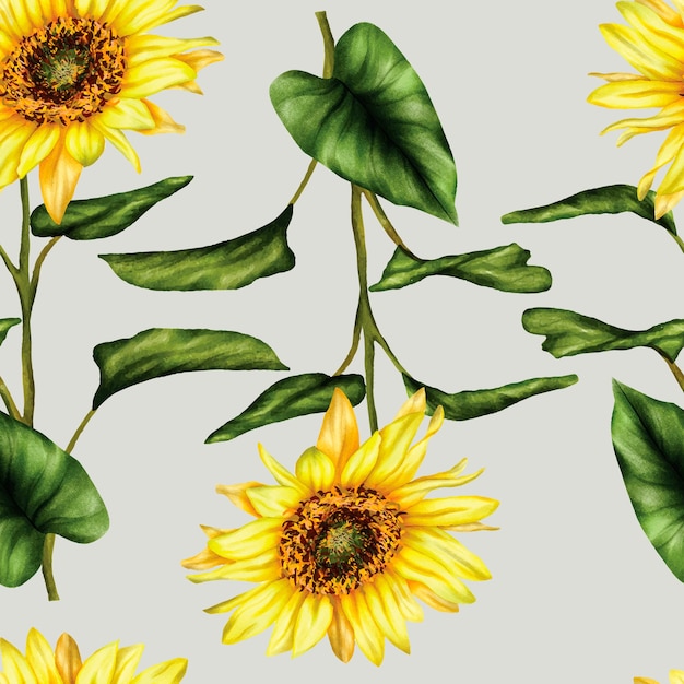 Free Vector seamless pattern beautiful sun flower and leaves