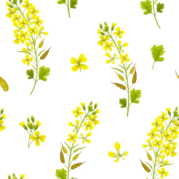 Seamless pattern of mustard.