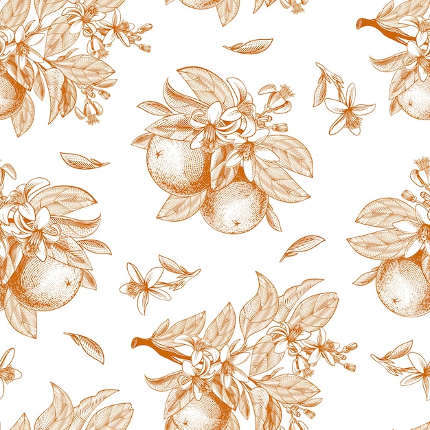 Seamless pattern of orange fruit, leaves, branches and blooming flowers in engraving style