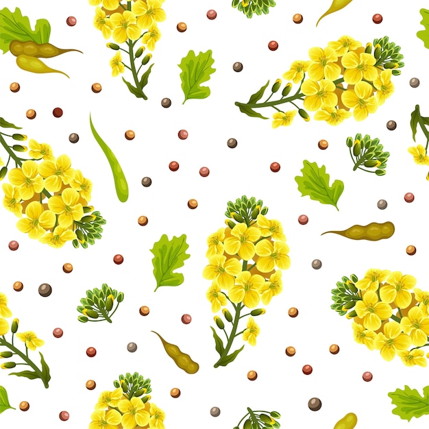 Free vector seamless pattern of rape flowers and leaves, canola.