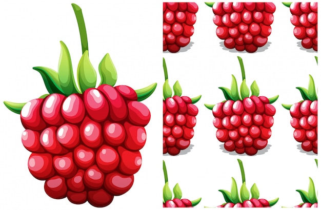 Free Vector seamless rasberry pattern isolated on white