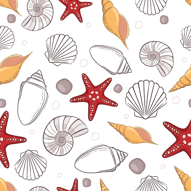 Seashell pattern background