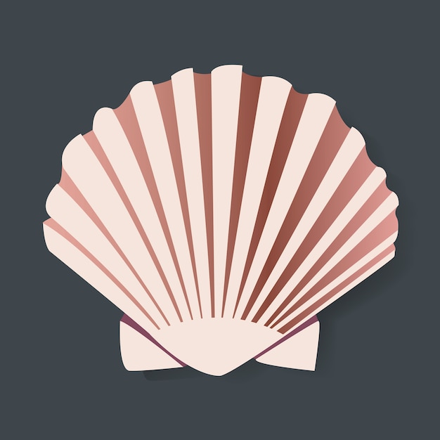 Free Vector seashell vectot illstration graphic design