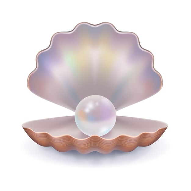 Seashell with a pearl