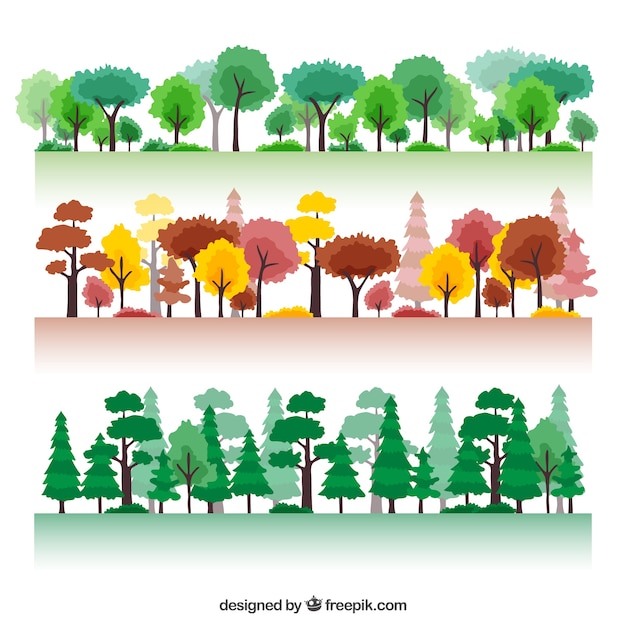 Free Vector seasonal forest