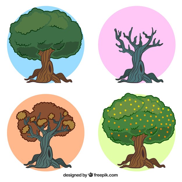 Seasonal trees illustration