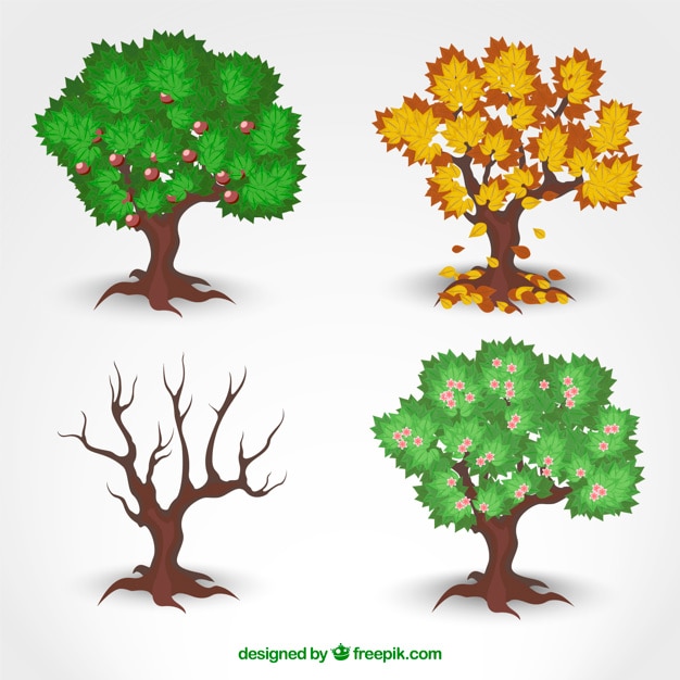 Free Vector seasonal trees