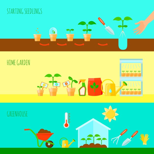 Seedling horizontal banners set with greenhouse symbols flat isolated vector illustration