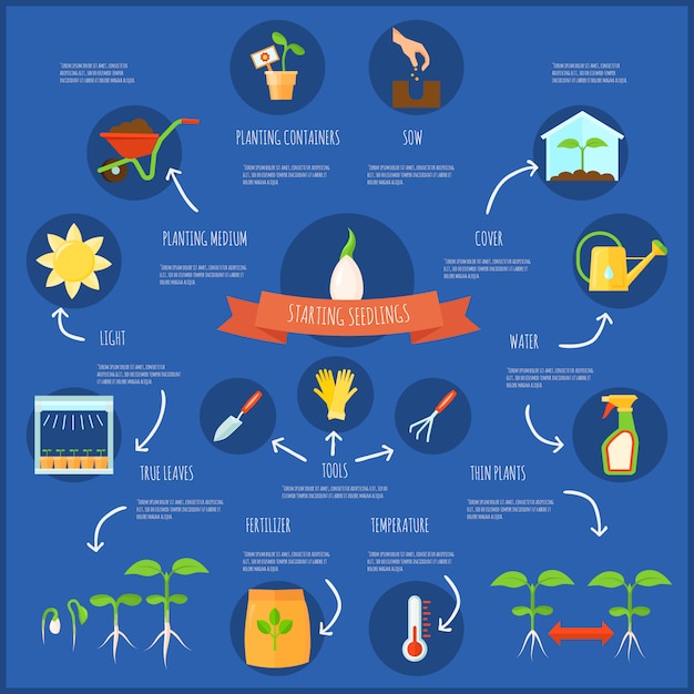 Seedling infographic set with watering and temperature symbols flat vector illustration